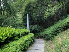 -桃花岭景区