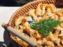 -蘑界·野生菌火锅(深业上城店)