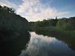 -吴淞炮台湾湿地森林公园烧烤区