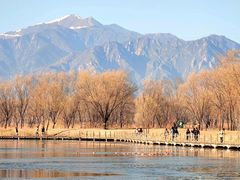 -野鸭湖国家湿地公园