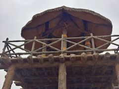 景点-华夏文旅海洋公园