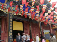 景点-龙口南山旅游景区