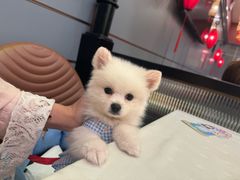 -嘉陵楼馋嘴城(簋街总店)