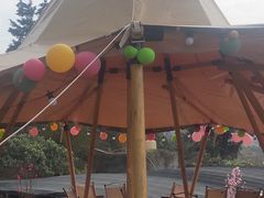 -桃源山庄·水蜜桃采摘·柴火鸡·烧烤团建(龙泉山店)