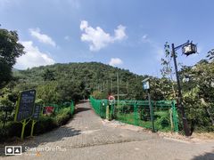 -树山生态村