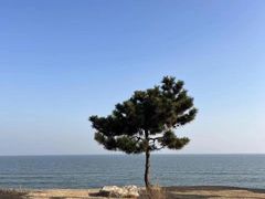 -巧克力渔家.小船海鲜家常菜(万平口店)