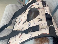 -爱诺动物医院(崂山店)