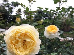 -人民公园(罗湖区)