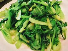 清炒鸡毛菜-金海湾海鲜排档(朱家尖店)