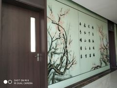 -上海市杨浦区中医医院