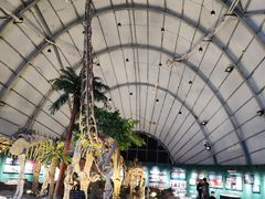 -辽宁古生物博物馆