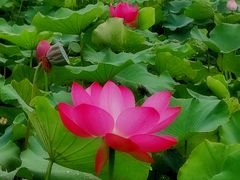 -处女泉风景名胜区