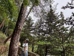 -重庆海昌加勒比海水世界