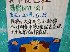 -无锡动物园·太湖欢乐园