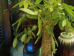 -湘当爱·鲜煮现炒(松岗立业路店)