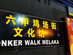 -马六甲鸡场街