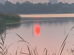 -桐乡凤凰湖