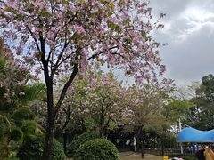 -海珠儿童公园