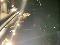 -西湖外事游船(湖滨二公园外事游船码头)