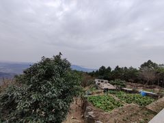 -雨花胜境