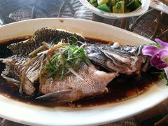 android_upload_pic-三亚亚龙湾天域度假酒店
