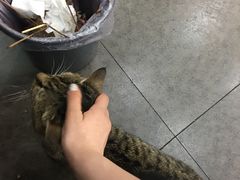 -段氏龙虾·烧烤·烤鱼(东书房路店)