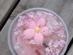 -J Create城市露营咖啡·简餐·宠物(上海动物园店)