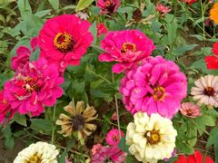 -艾溪湖湿地公园