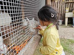 -泉州海丝野生动物世界