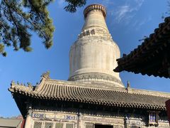 -重庆秦妈火锅(全国连锁五台山店)