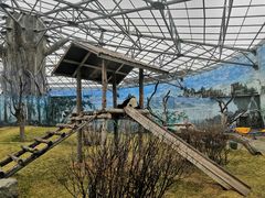 -鄂尔多斯野生动物园