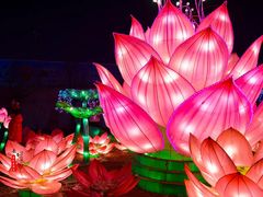 -长春市南湖公园