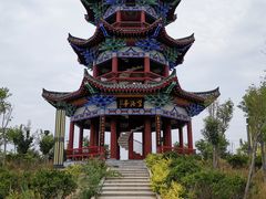 -千年枣林游览区