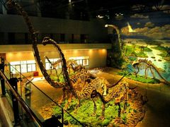 -自贡恐龙博物馆