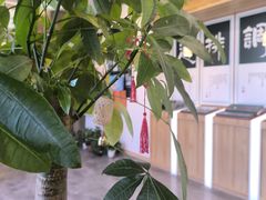 -艾柏堂8090经络·艾灸养生(御庭府邸店)