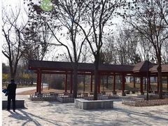 -将府公园