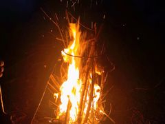 -前小桔亲子创意农场·草莓采摘·露营烧烤