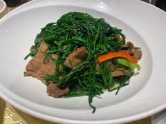 沙葱炒羊肉-巴扎美食·新疆菜·西域歌舞表演餐厅(新疆大厦店)