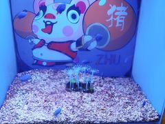 -海合安青岛极地海洋公园