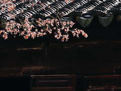 -耦园