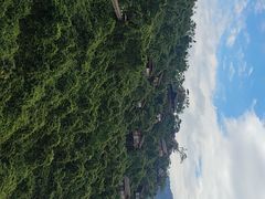 -三亚亚龙湾人间天堂鸟巢度假村