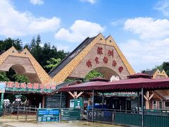 -深圳野生动物园