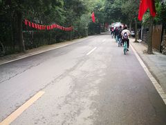 -三圣花乡旅游区