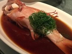 清蒸东星斑-晶采轩(虹桥路店)