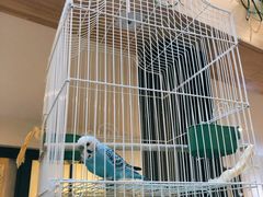 -格兰西点餐厅(文化街店)