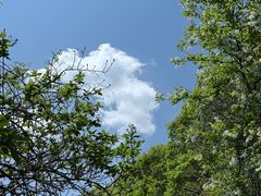 -王顺山国家森林公园