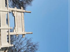 -紫金山山顶公园