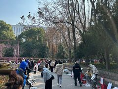 -人民公园-相亲角