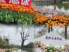 -上海鲜花港