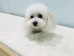 -宠福鑫康馨动物医院·骨科·眼科